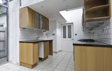 New Pale kitchen extension leads